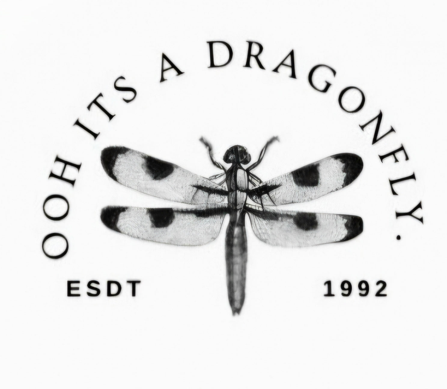 Oh its a dragonfly 